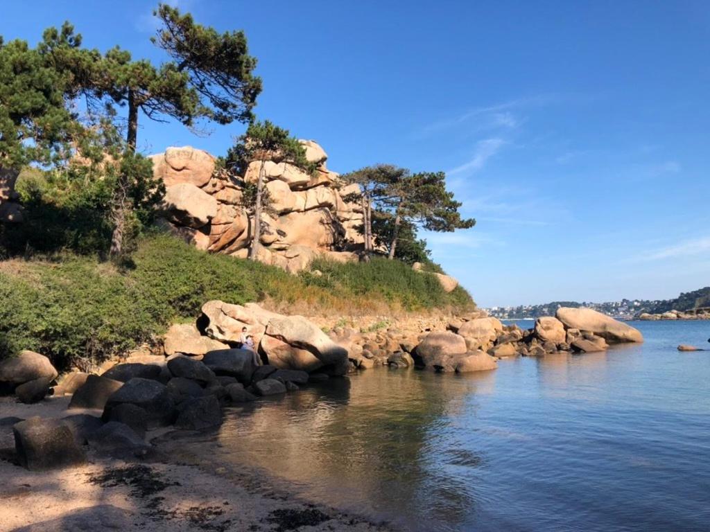 Les Ecolodges Sous Le Phare Louannec Exteriör bild